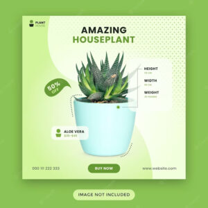 Product Intro
