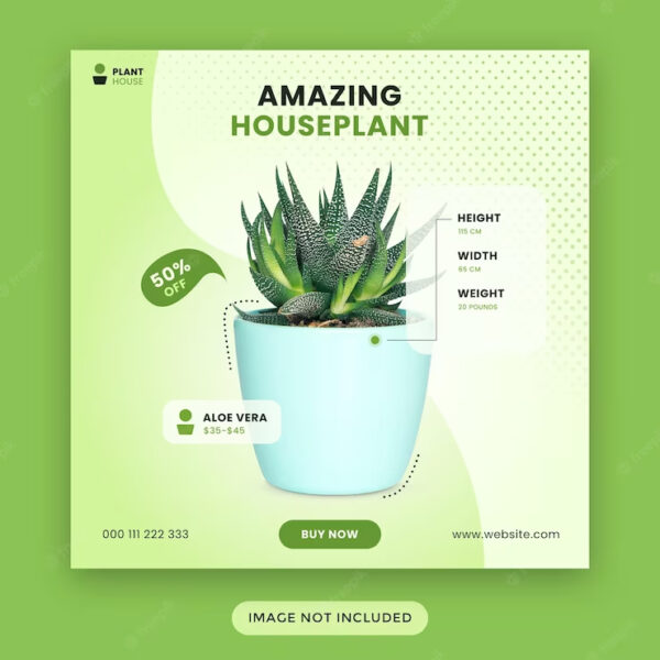Product Intro